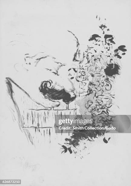 Bonnard Ink Abstract Ink Drawing Photos and Premium High Res Pictures - Getty Images