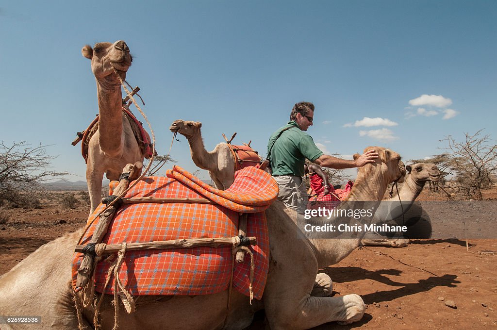 Man on Camel Safari - Kenya, Africa.