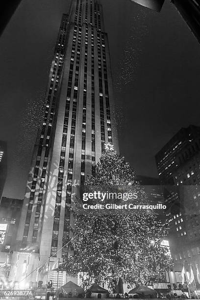 The 94-foot-tall Rockefeller Center Christmas tree and the Swarovski Star are lit during the 84th Annual Rockefeller Christmas Tree Lighting Ceremony...