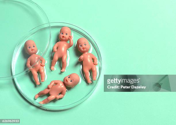 ivf babies - künstliche befruchtung unfruchtbarkeit stock-fotos und bilder