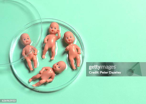 ivf babies - remplacement photos et images de collection