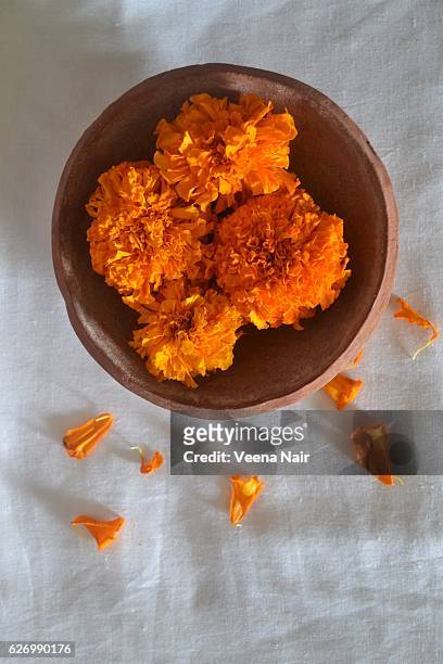marigold flowers in a clay paltter-still life - calendula stock pictures, royalty-free photos & images