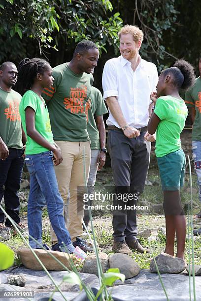 Prince Harry talks to volunteers at 'Nature Fun Ranch' on the eleventh day of an official visit on December 1, 2016 in St Andrew, Barbados. The ranch...
