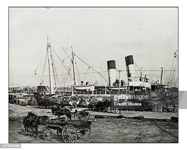 antique photograph of cotton steamer in new orleans - new orleans 幅插畫檔、美工圖案、卡通及圖標