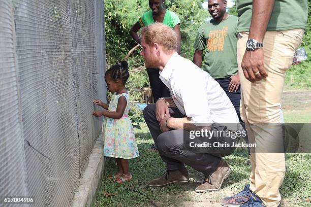 Prince Harry is seen at 'Nature Fun Ranch' on the eleventh day of an official visit on December 1, 2016 in St Andrew, Barbados. The ranch allows...