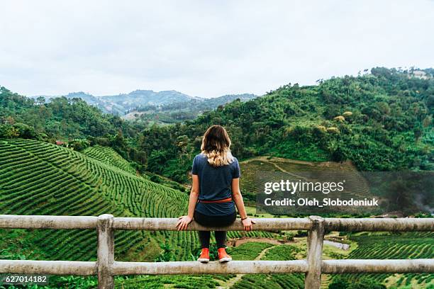 woman near tea plantation in thailand - mae hong son province bildbanksfoton och bilder