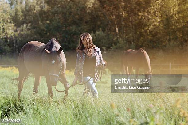 woman with her horse - lise gagne stock pictures, royalty-free photos & images