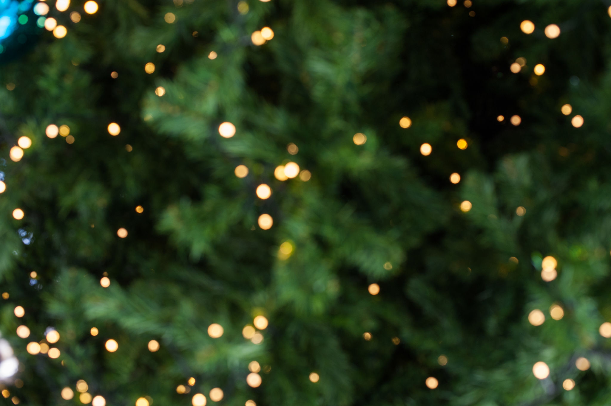 seasonal crafts