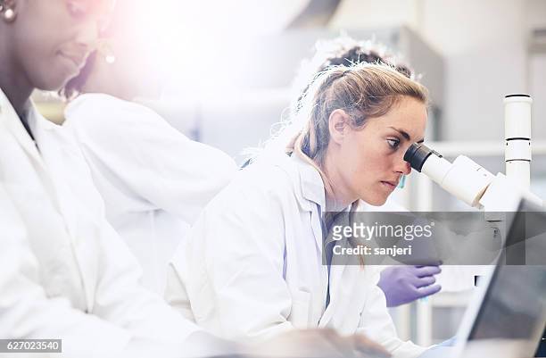 científico mirando a través del microscopio - cientifico con microscopio fotografías e imágenes de stock