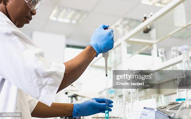Tech Using Pipette 190 Automatic Pipette Stock Photos, High-Res Pictures, and Images ...