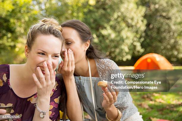 friends whispering together at picnic in park - gossip foto e immagini stock