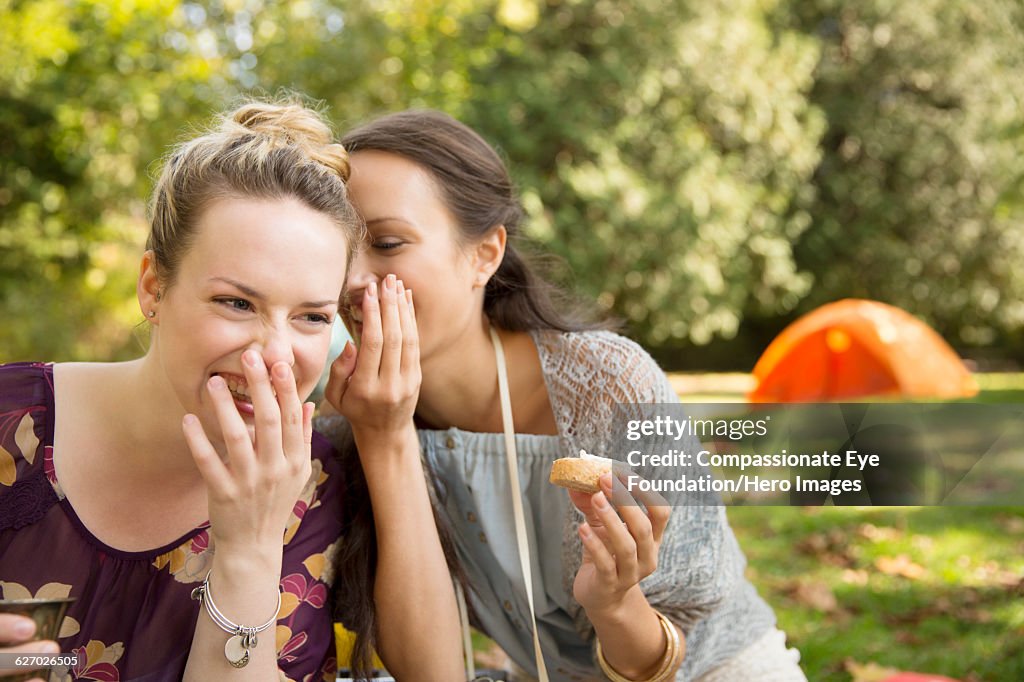Friends whispering together at picnic in park