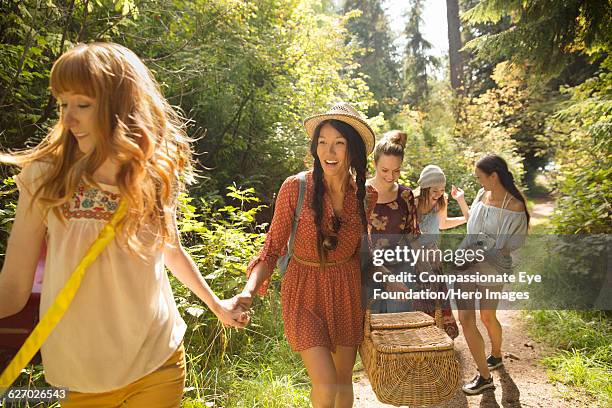 friends walking in forest with picnic basket - braids stock pictures, royalty-free photos & images