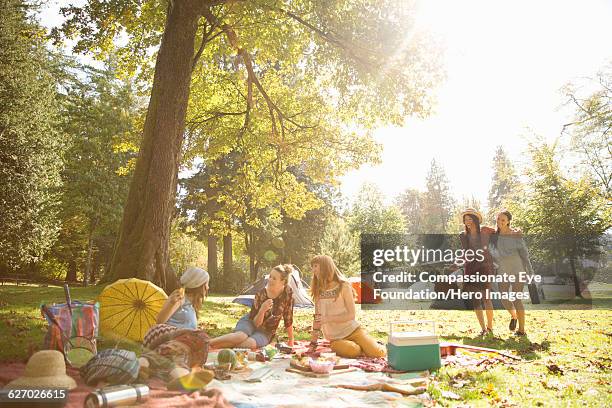 friends picnicking together in park - parque público fotografías e imágenes de stock