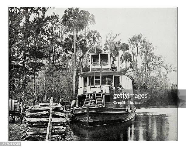 ilustraciones, imágenes clip art, dibujos animados e iconos de stock de fotografía antigua de barco en el río ocklawaha, florida - vintage steamship