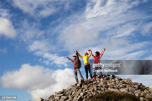 we made it! - people climbing walking mountain group stock pictures, royalty-free photos & images