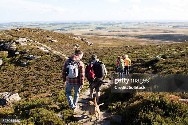 hiking club - springtime exercise stock pictures, royalty-free photos & images