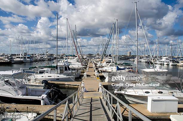 charleston harbor marina, charleston, south carolina - mount pleasant south carolina stock pictures, royalty-free photos & images