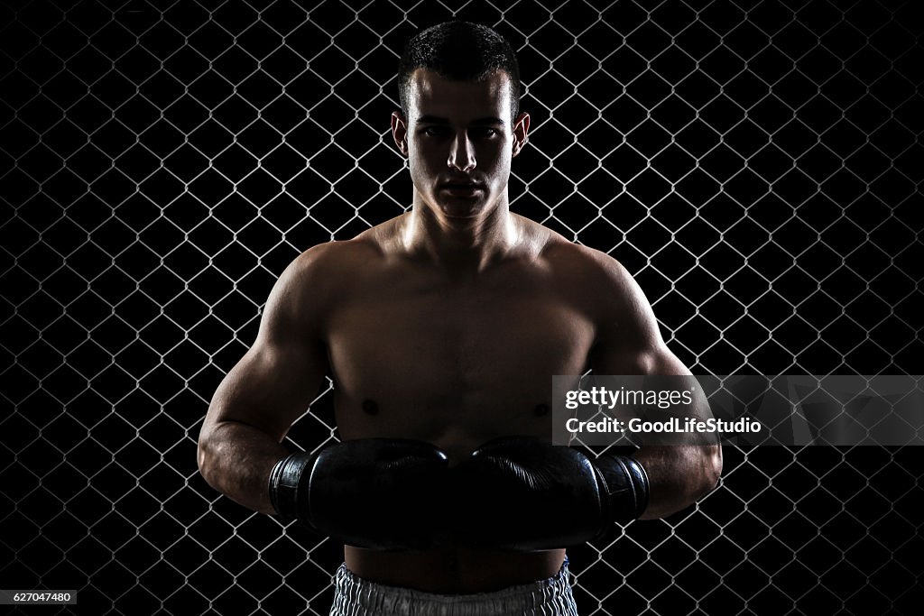 Ultimative fighter