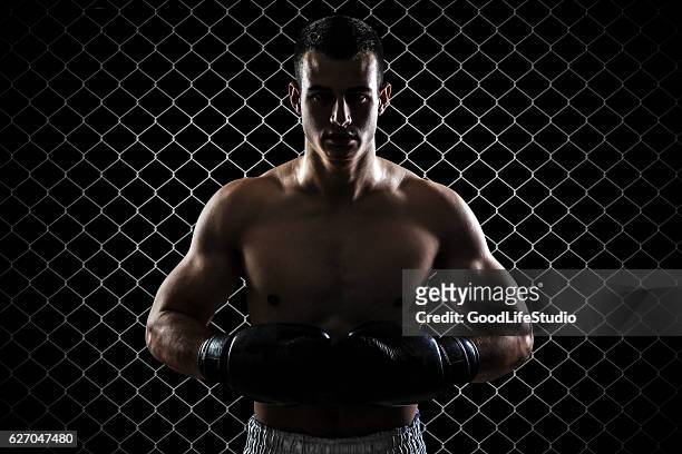 ultimate fighter - mixed martial arts stockfoto's en -beelden