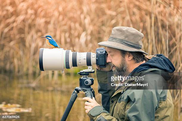 un photographe de la nature maladroit ne trouve pas le martin-pêcheur sur le len - téléobjectif photos et images de collection