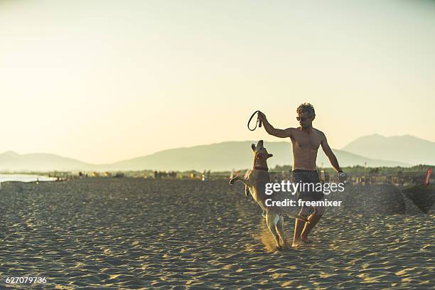 playing on the beach - beer hops stock pictures, royalty-free photos & images