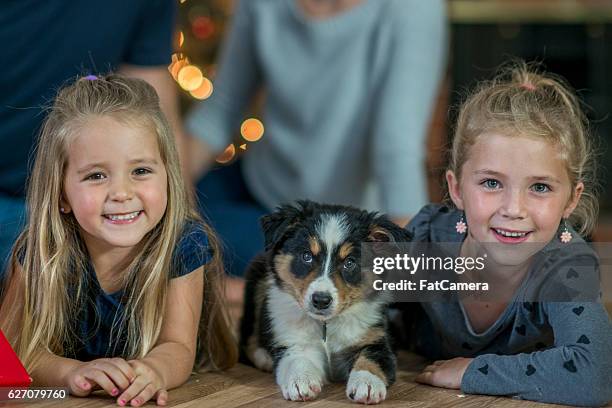 nuevo cachorro de navidad - fat hairy men fotografías e imágenes de stock