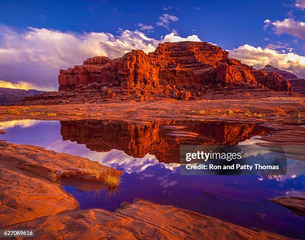 blm land looking at dead horse point state park, utah - utah 個照片及圖片檔