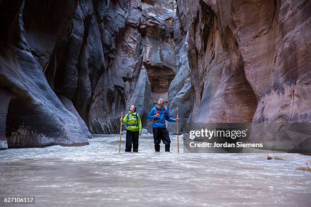 a coupole hiking in zion. - zion national park stockfoto's en -beelden