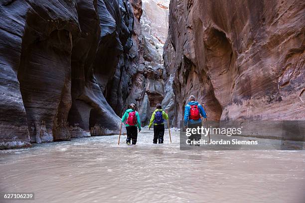 three friends hiking in zion. - parque nacional zion fotografías e imágenes de stock