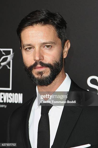 Jason Behr attends the premiere of Hulu's "Shut Eye" at ArcLight Hollywood on December 1, 2016 in Hollywood, California.