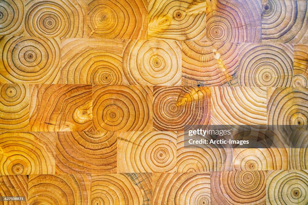 Tree rings on wooden chopping board