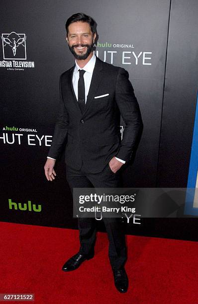 Actor Jason Behr attends the premiere of Hulu's 'Shut Eye' at ArcLight Hollywood on December 1, 2016 in Hollywood, California.