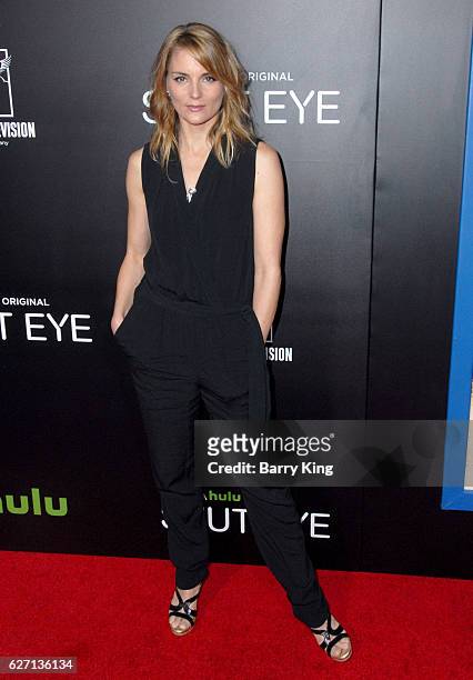 Actress Susan Misner attends the premiere of Hulu's 'Shut Eye' at ArcLight Hollywood on December 1, 2016 in Hollywood, California.