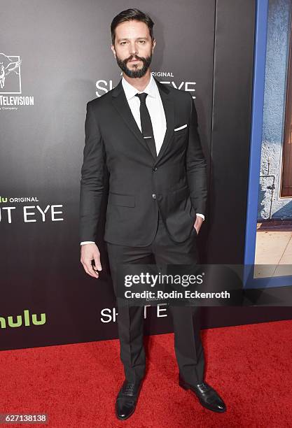Actor Jason Behr attends the premiere of Hulu's "Shut Eye" at ArcLight Hollywood on December 1, 2016 in Hollywood, California.