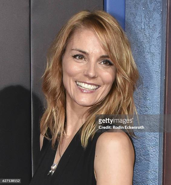 Actress Susan Misner attends the premiere of Hulu's "Shut Eye" at ArcLight Hollywood on December 1, 2016 in Hollywood, California.