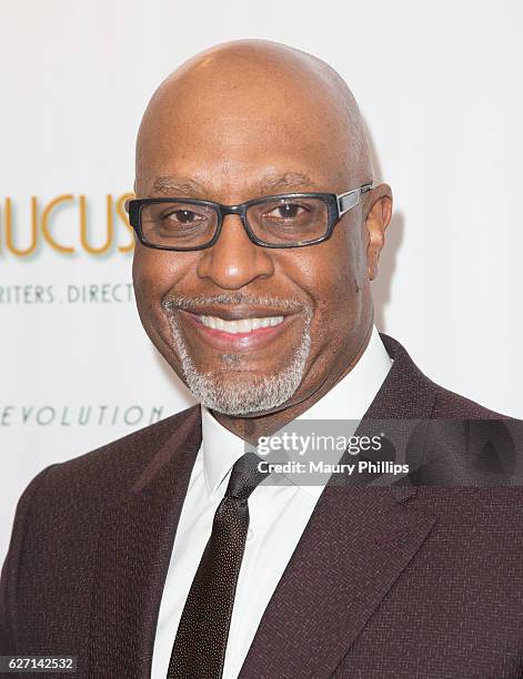 Actor James Pickens Jr. Arrives at Caucus for Producers, Writers and Directors' 34th Annual Caucus Awards Dinner at Skirball Cultural Center on...
