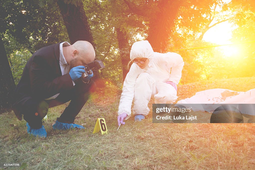 Crime scene investigation
