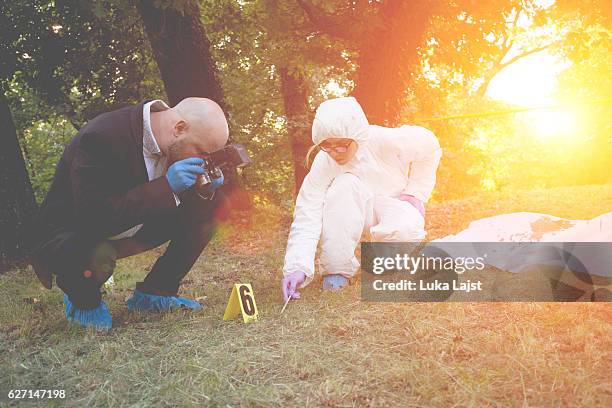 crime scene investigation - forensic stock pictures, royalty-free photos & images