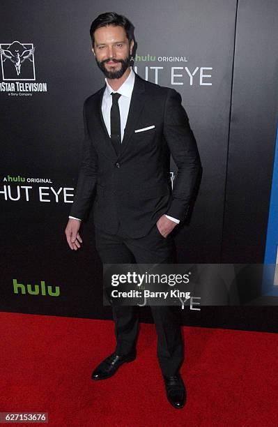 Actor Jason Behr attends the premiere of Hulu's 'Shut Eye' at ArcLight Hollywood on December 1, 2016 in Hollywood, California.