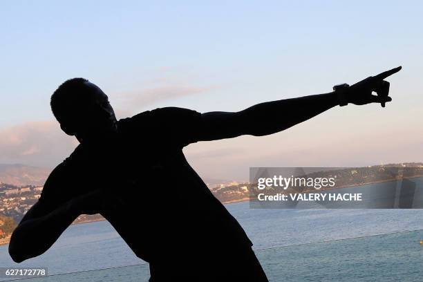 Nine-time Olympic champion Usain Bolt is pictured in silhouette as he poses within the 204th IAAF Council meeting in Monaco on December 2, 2016. /...