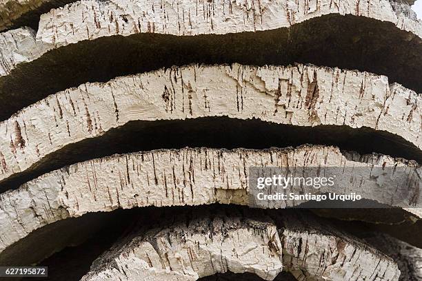 close up of heap of oak bark - kork stock-fotos und bilder