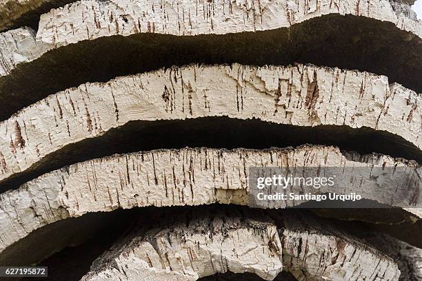 close up of heap of oak bark - sughero foto e immagini stock