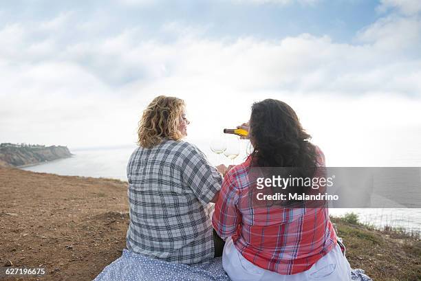 lesbian couple - fat lesbian stock pictures, royalty-free photos & images