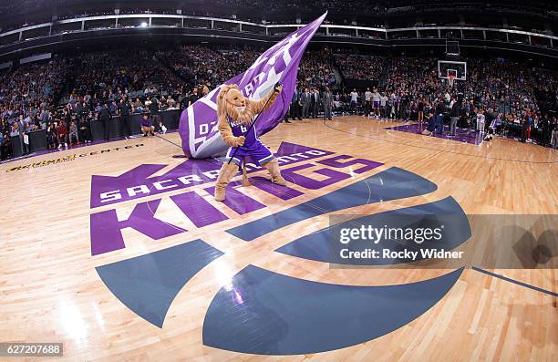 Sacramento Kings mascot Slamson waves the flag during the game against the Oklahoma City Thunder on November 23, 2016 at Golden 1 Center in...