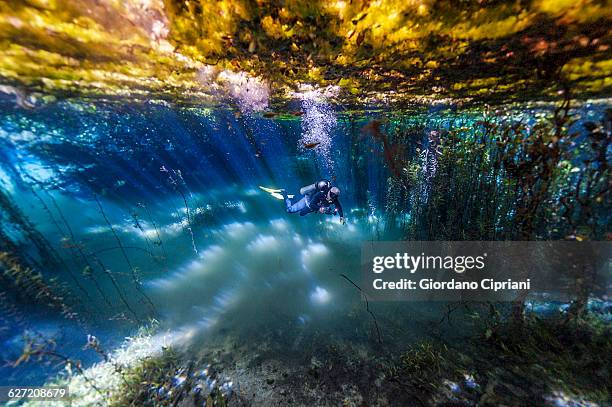 córrego azul river, brazil - bonito stock pictures, royalty-free photos & images