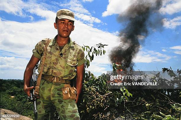 Destruction de feuilles de coca dans une propriété appartenant au narcotrafiquant Gonzalo Rodriguez Gacha, surnommé 'Le Mexicain', l'un des chefs du...