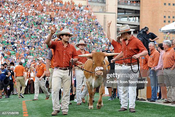 New Longhorn mascot Bevo XV is introduced prior to start of 50 - 47 win over Notre Dame at Darrell K. Royal - Texas Memorial Stadium in Austin, TX.