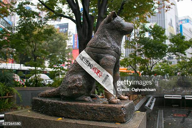 hachiko statue getting wet in the rain - shibuya - statua di hachiko a shibuya foto e immagini stock