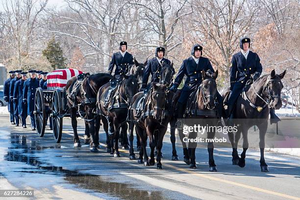 honor guard on horseback at arlington national cemetery - casket stock pictures, royalty-free photos & images